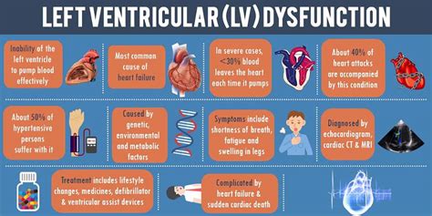 lv dysfunction definition|what does lv dysfunction mean.